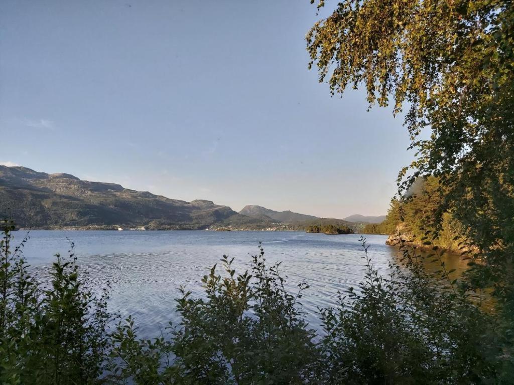 Teigen Leirstad, Feriehus Og Hytter Eikefjord エクステリア 写真